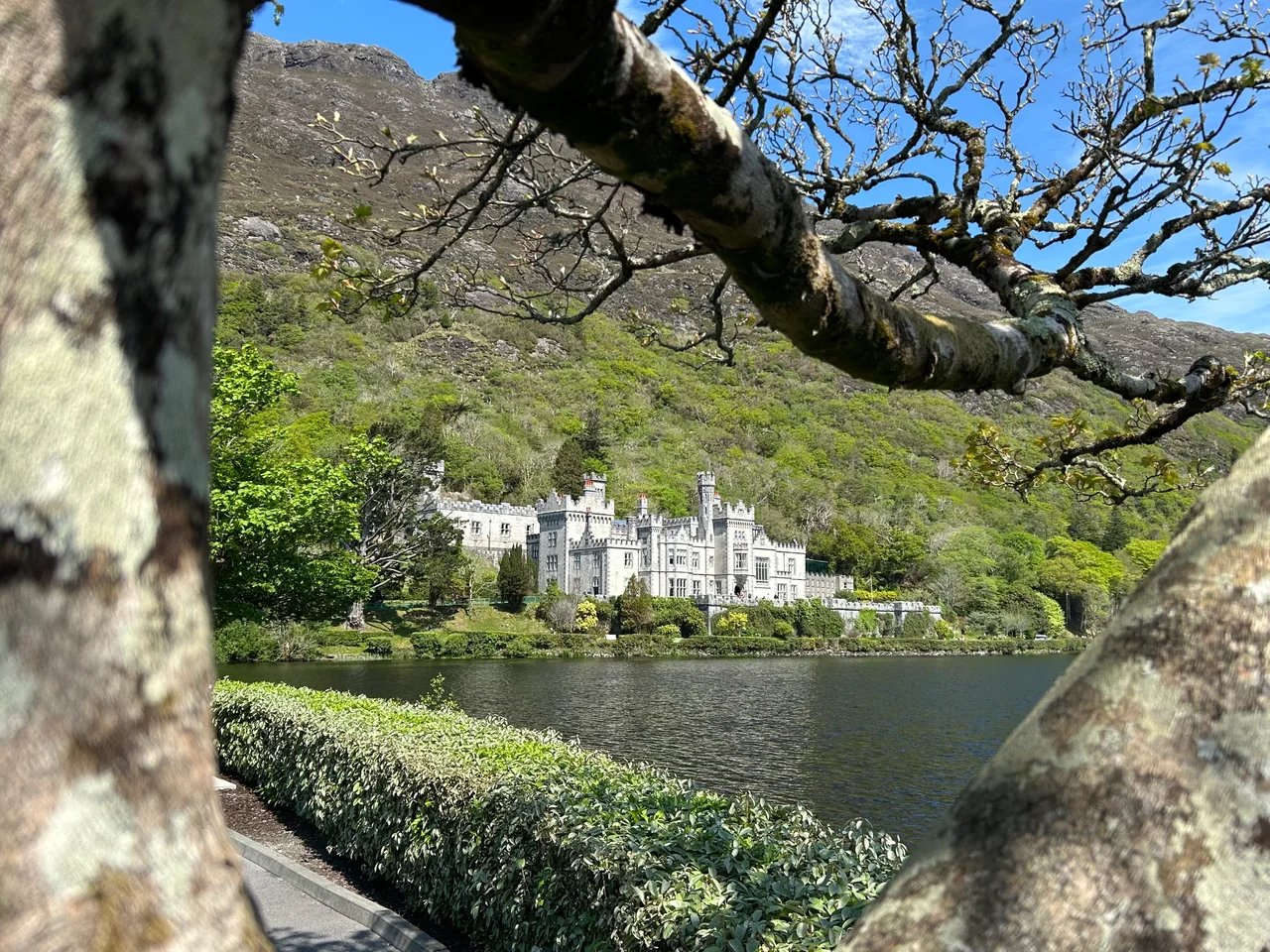 Cover media image