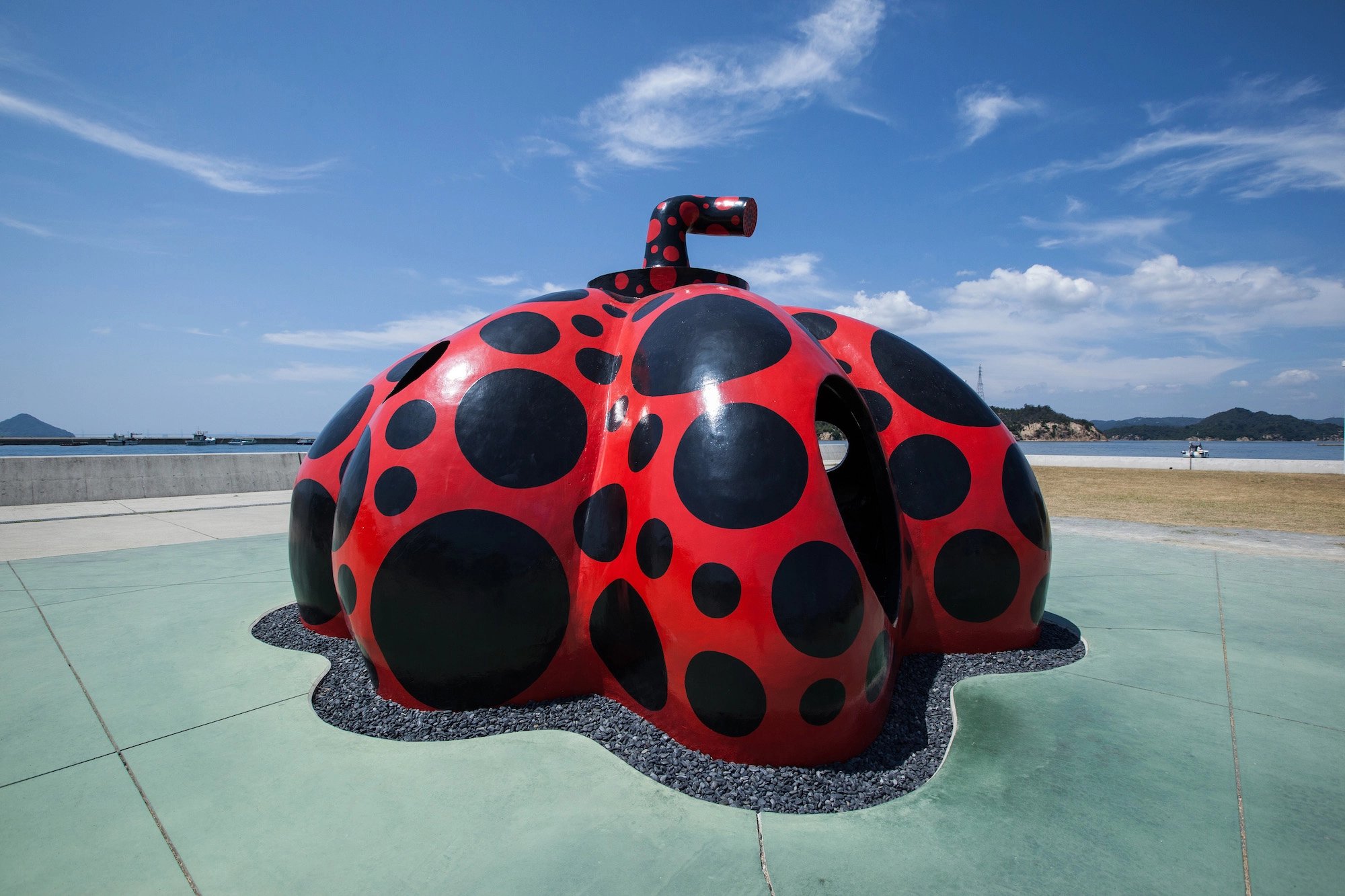 Cover media image