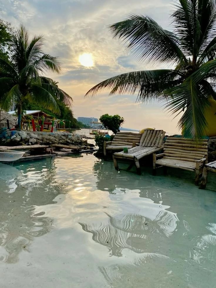 Cover media image
