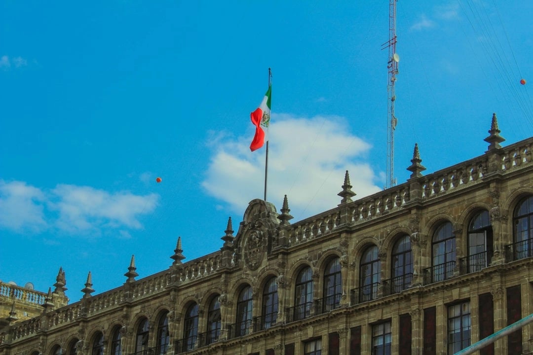 Complete Mexico City: Full-Day Walking Tour Through the Neighbourhoods