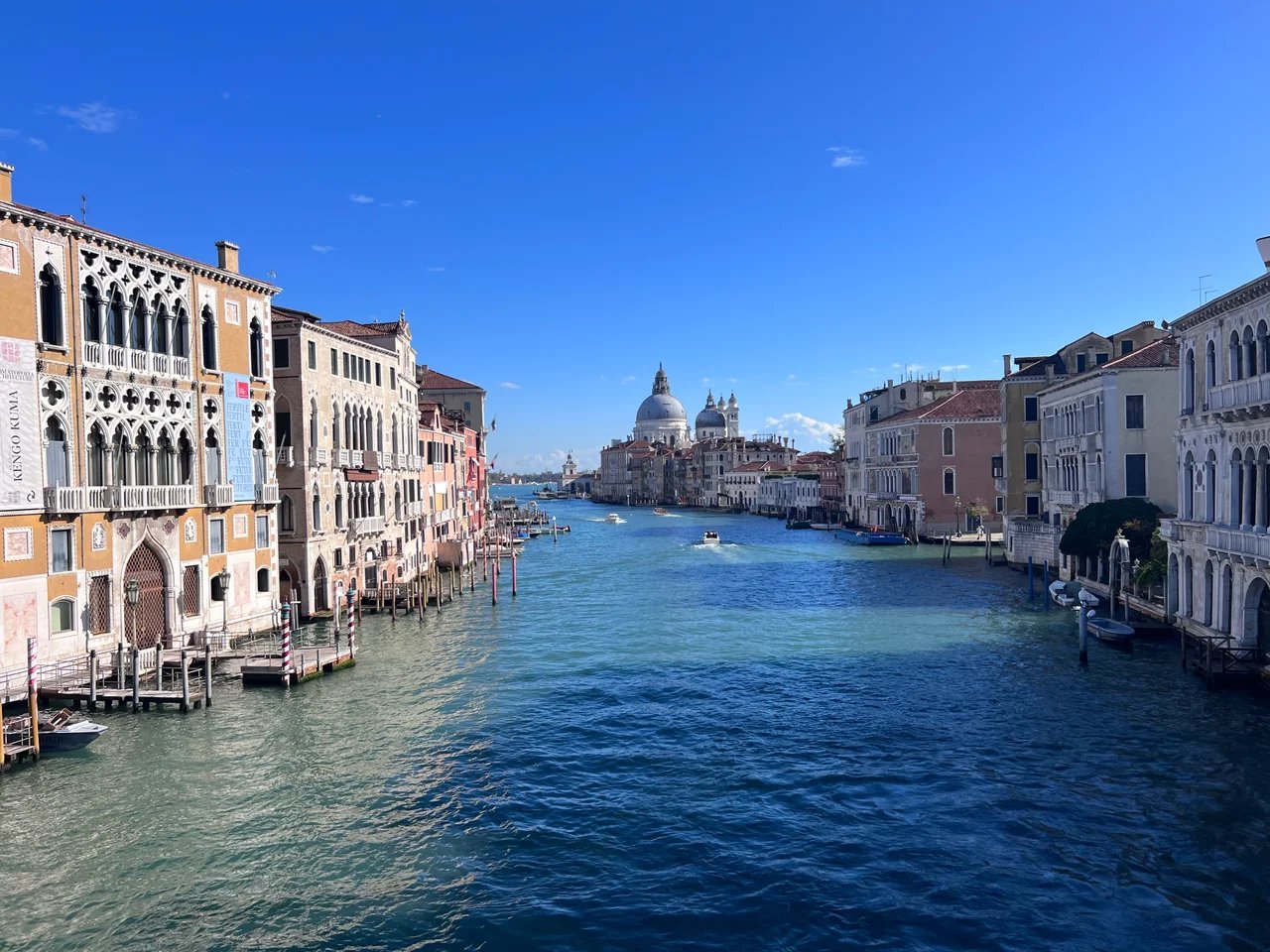 Cover media image