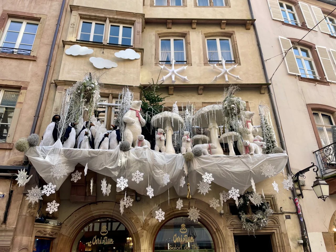 Carine F.'s gallery