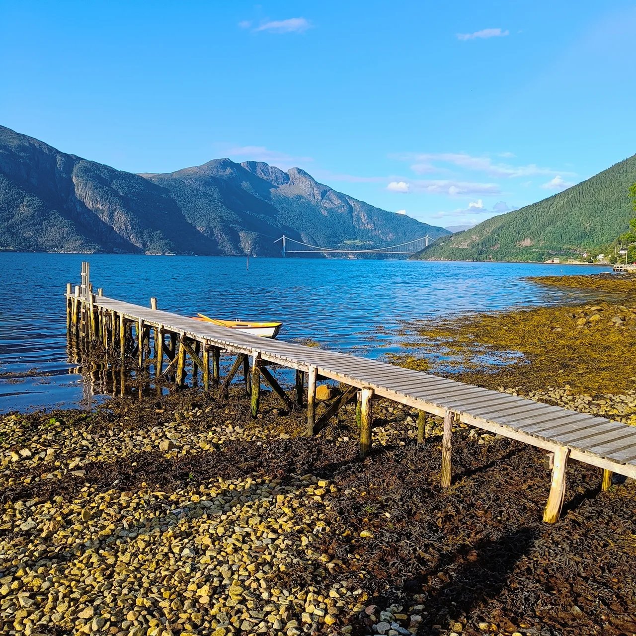 Cover media image