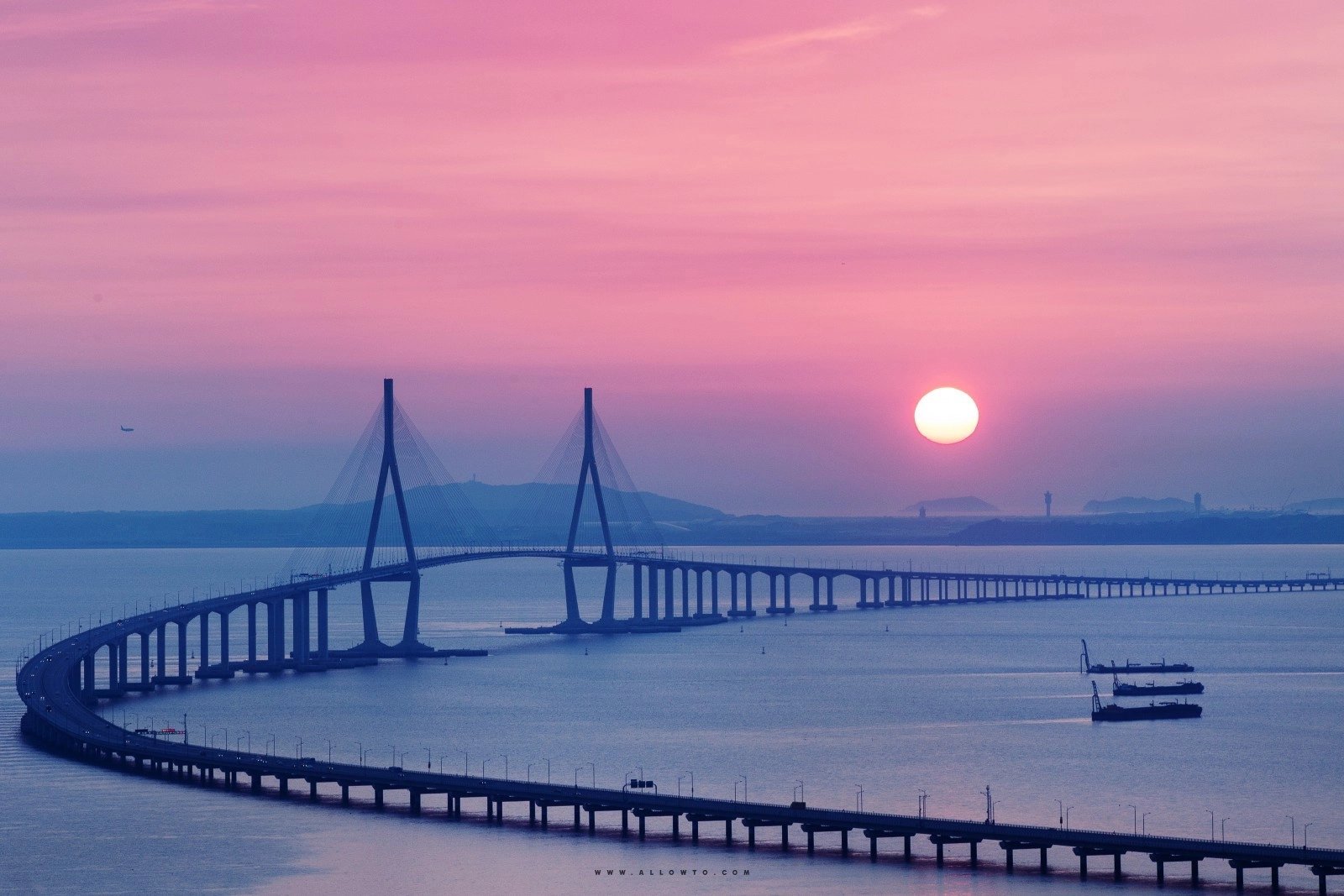 Cover media image