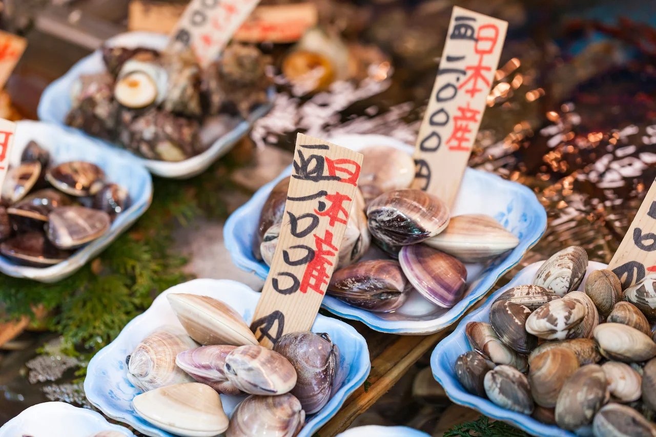 japan off the beaten track