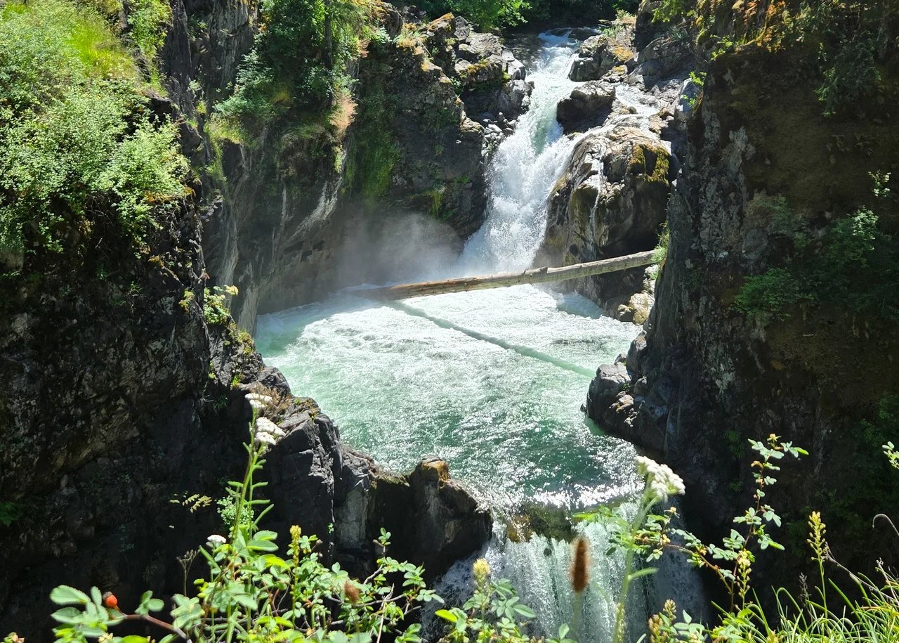 Cover media image