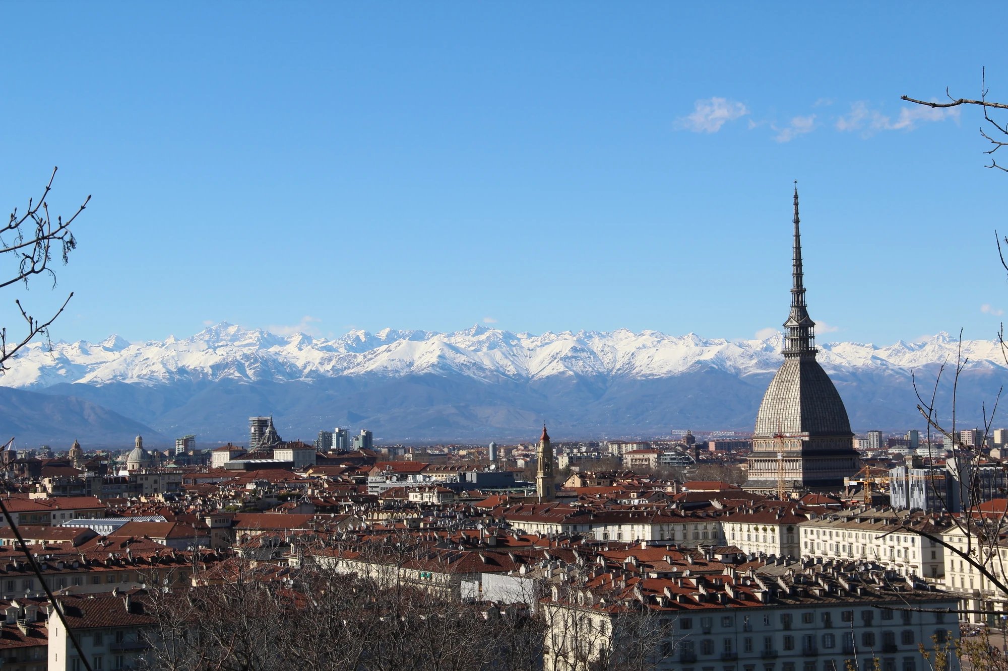 Cover media image