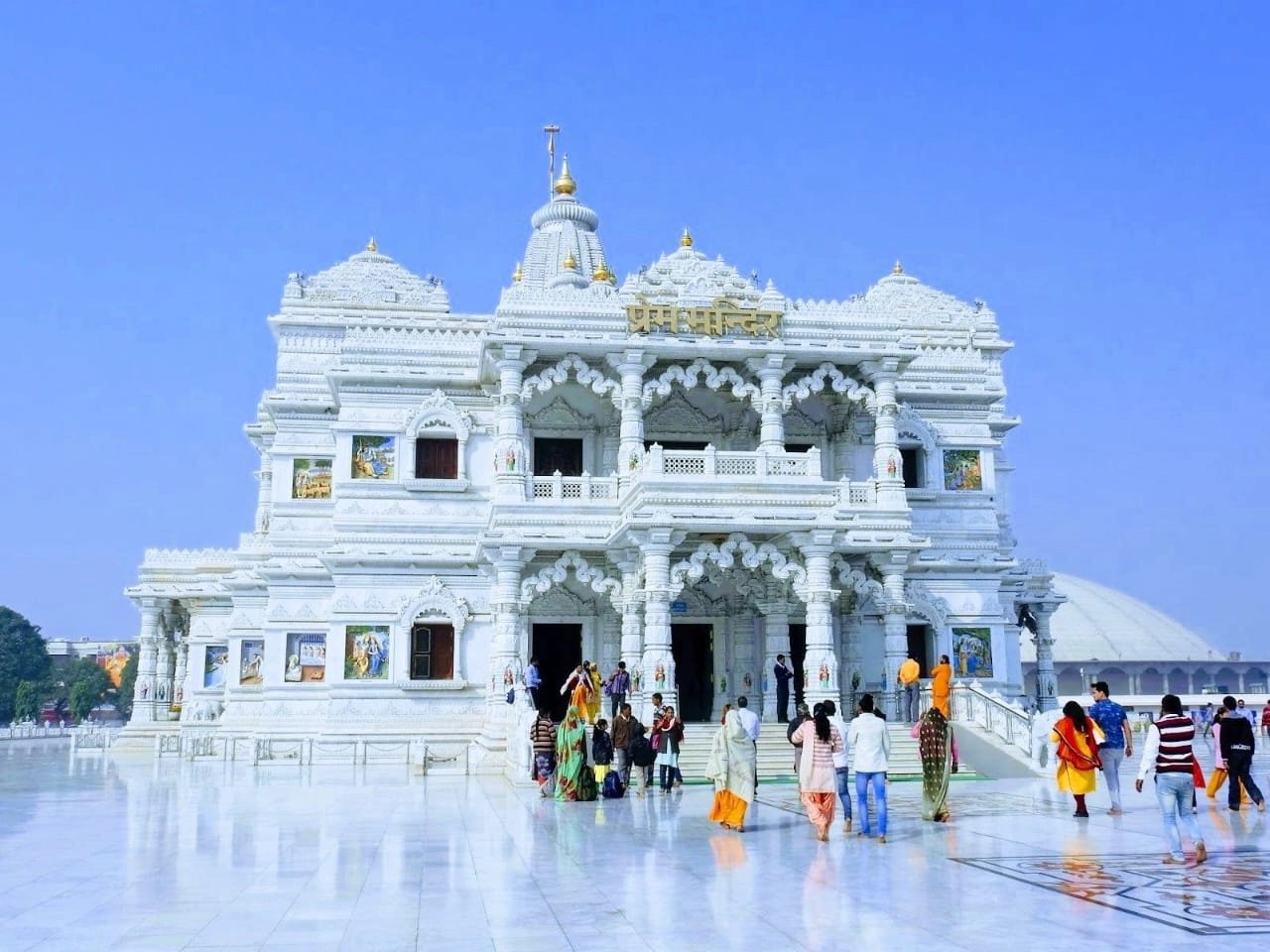 Cover media image