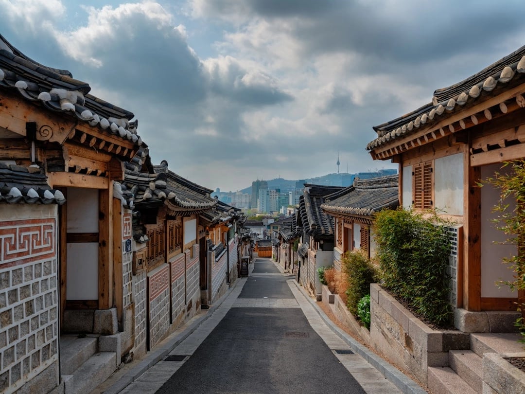 Iconic Seoul: Half-Day Private Driving Tour with Panoramic Stops