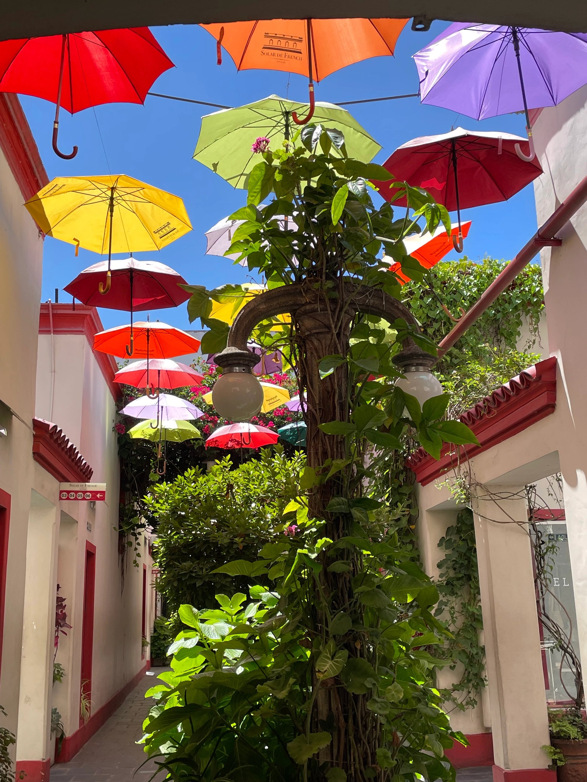 Marina Paula F.'s gallery