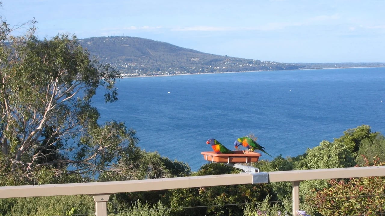 Cover media image