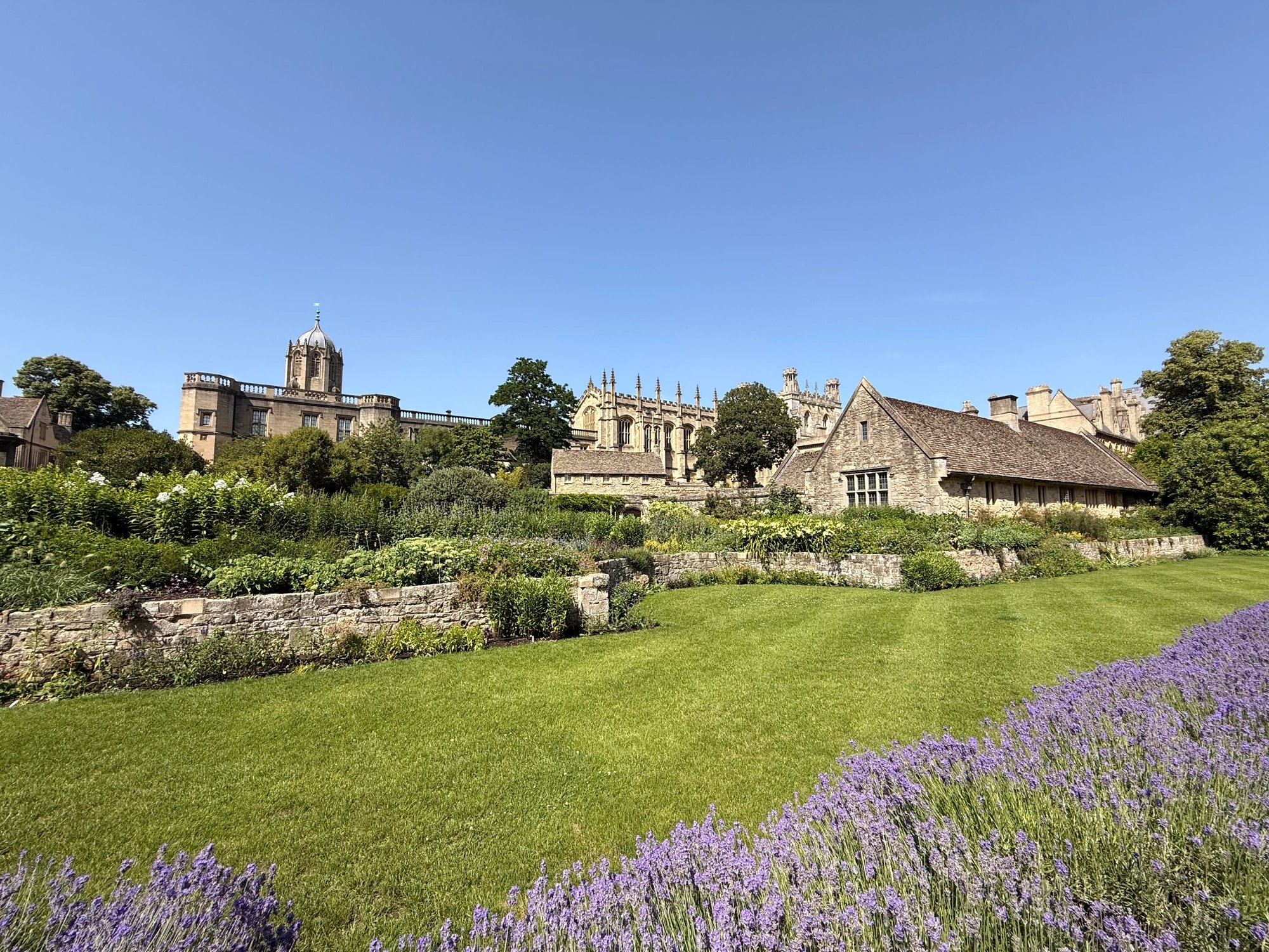 Cover media image