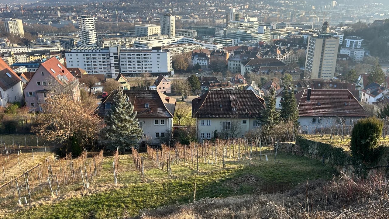 Cover media image