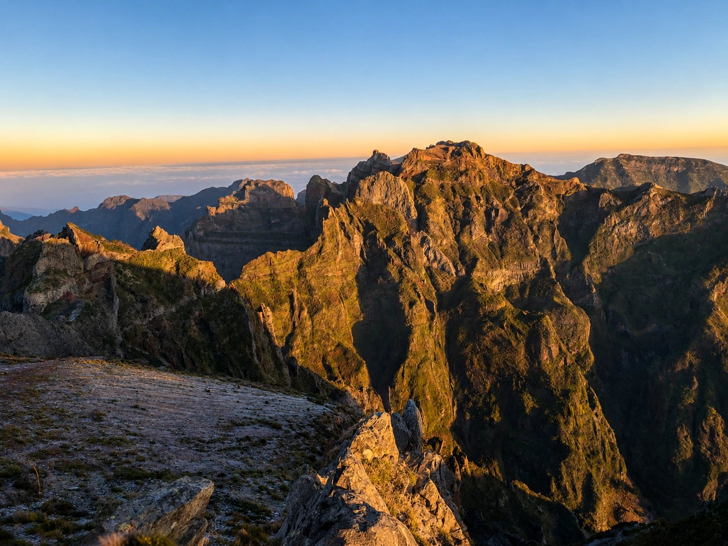 Cover media image