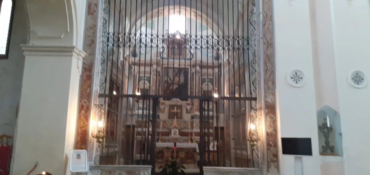 Immacolata C.'s gallery