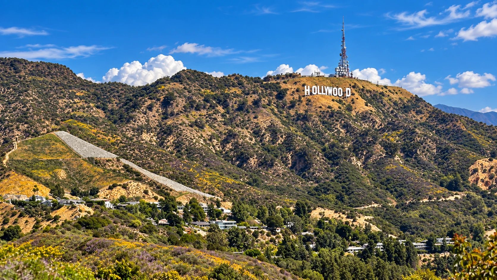 Cover media image