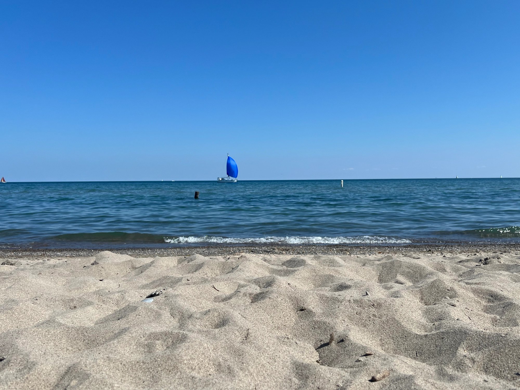 Cover media image