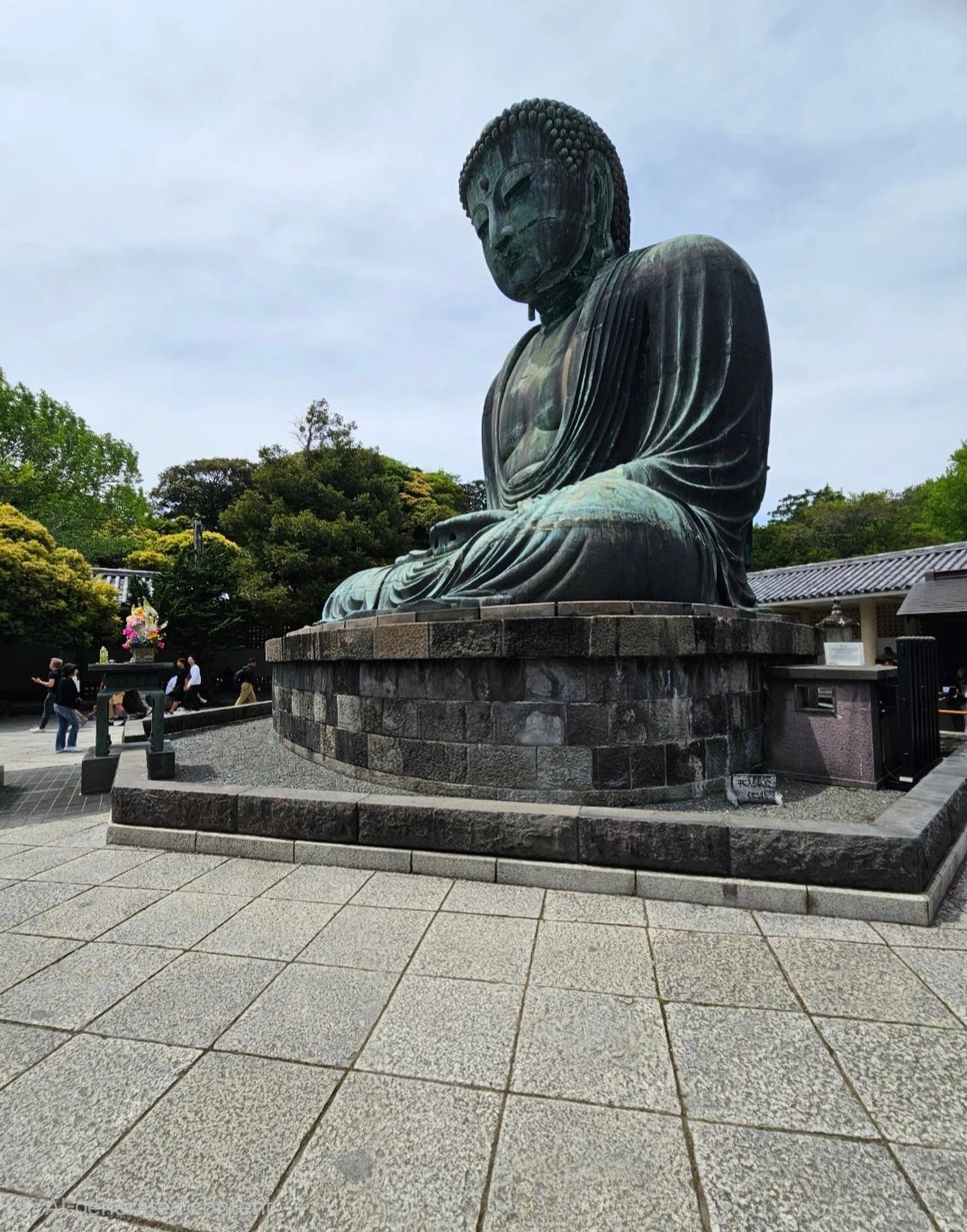 Cover media image