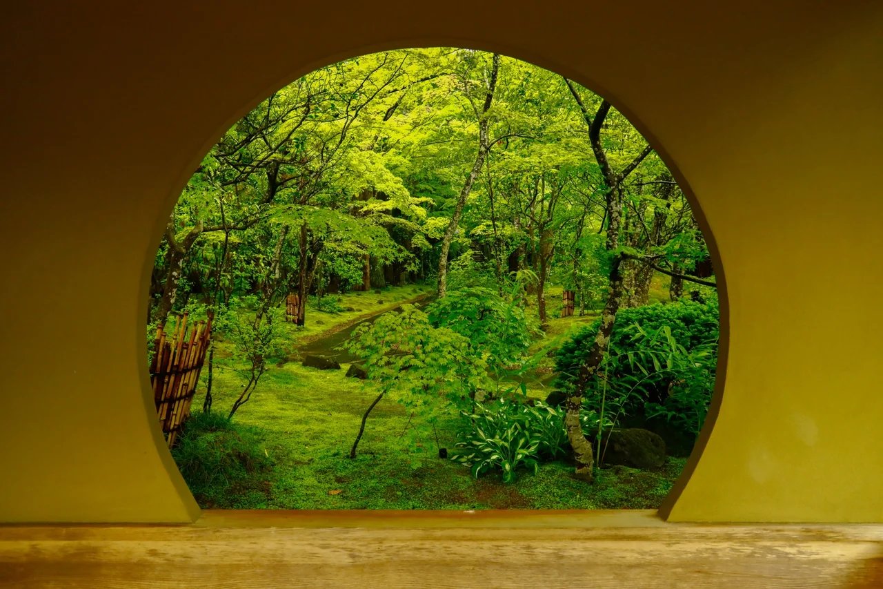 Cover media image