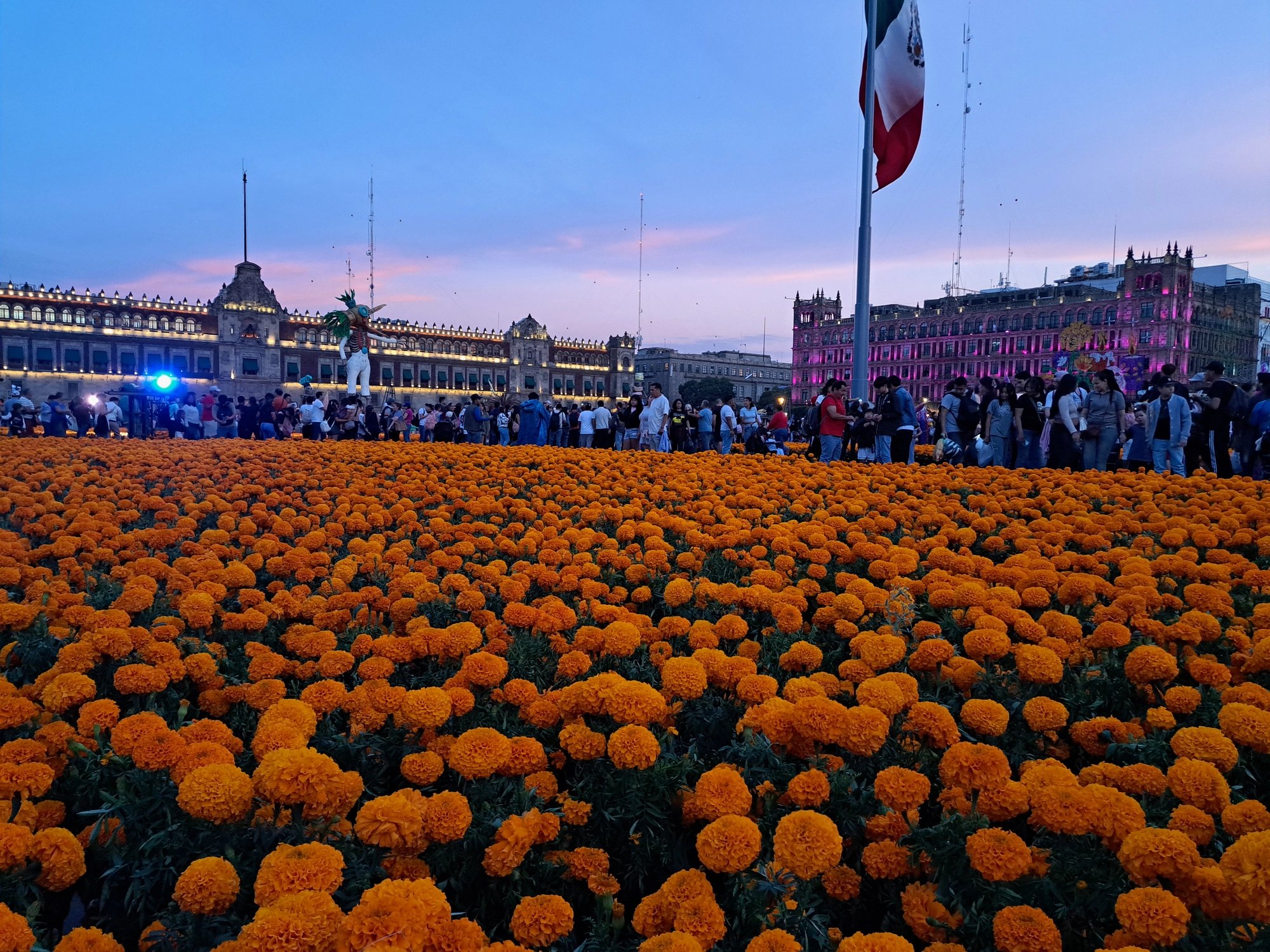 Cover media image