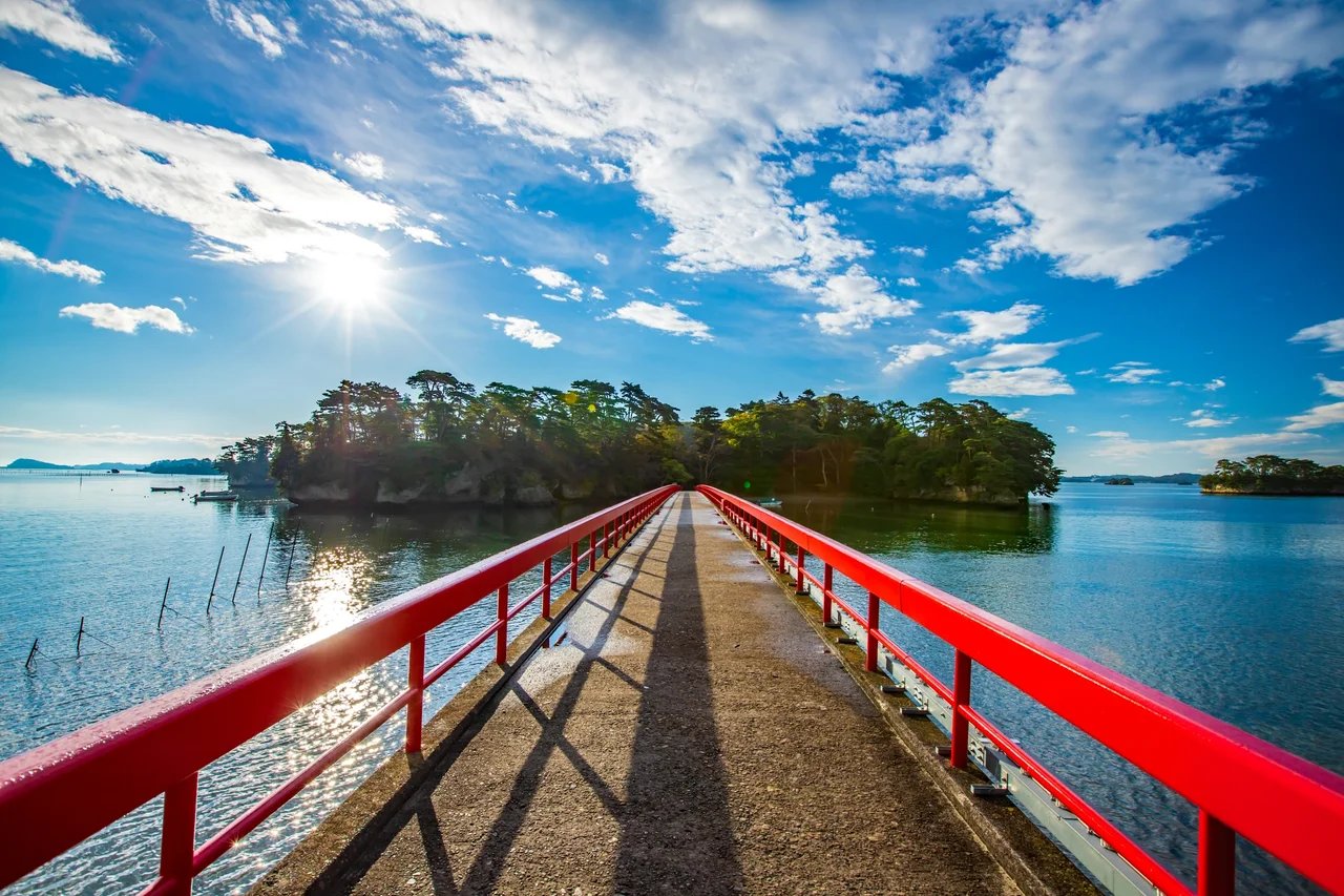 Cover media image