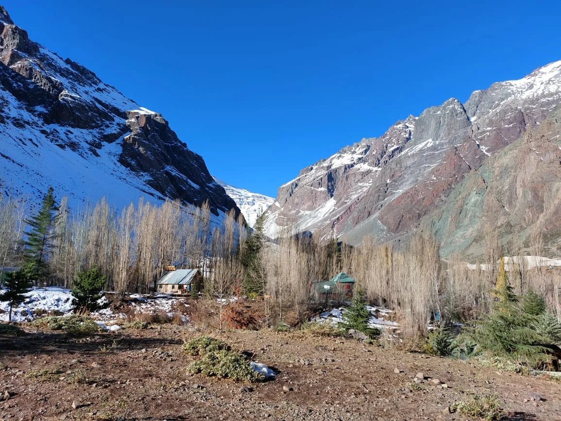 Cover media image