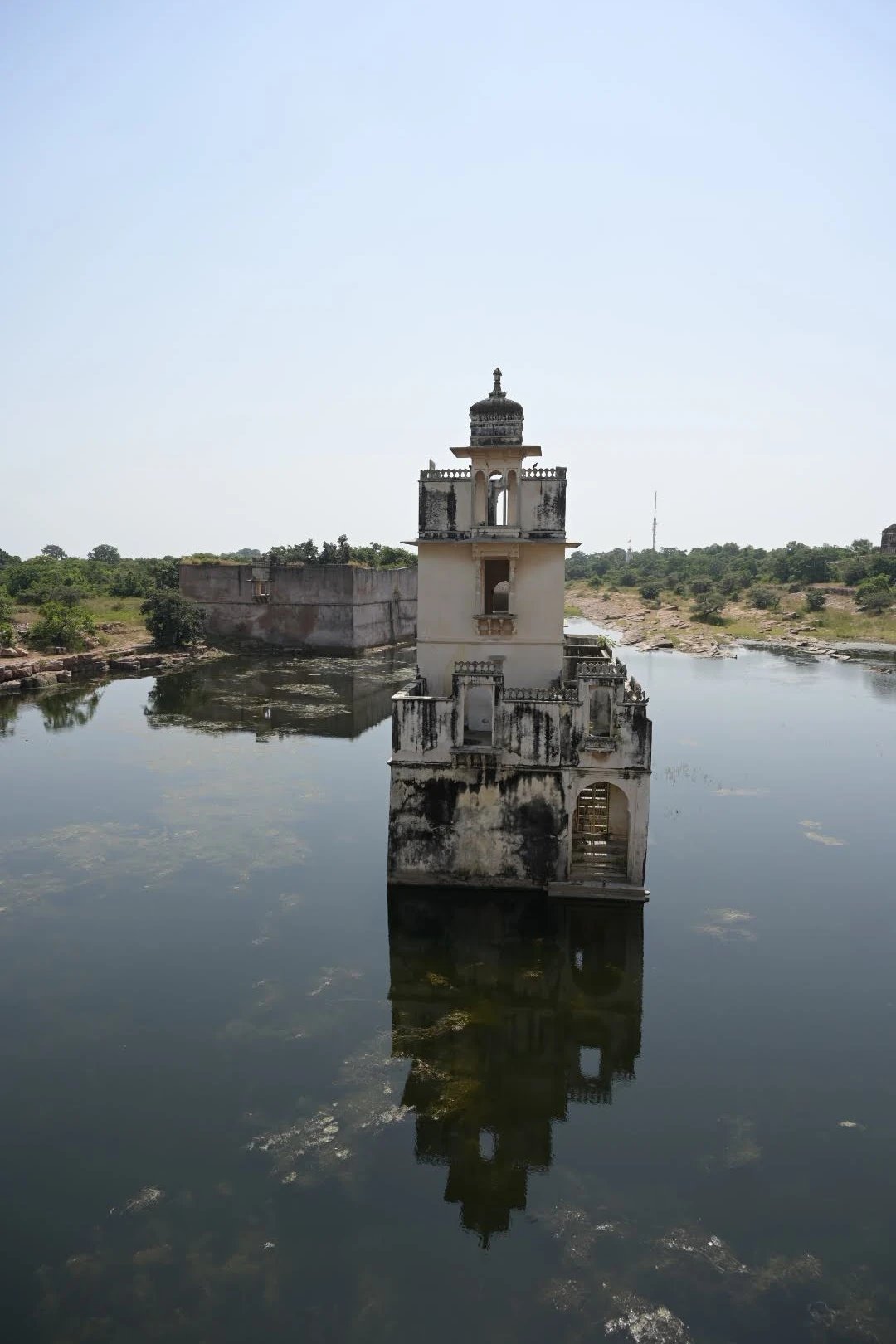 Cover media image