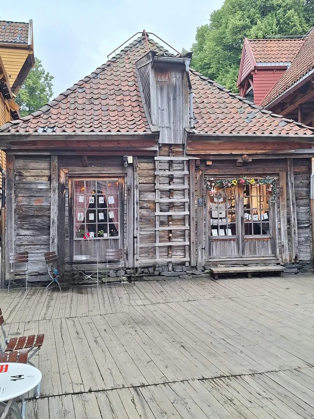 Olena H.'s gallery