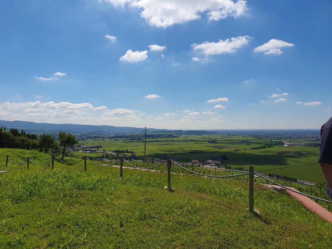 Cover media image