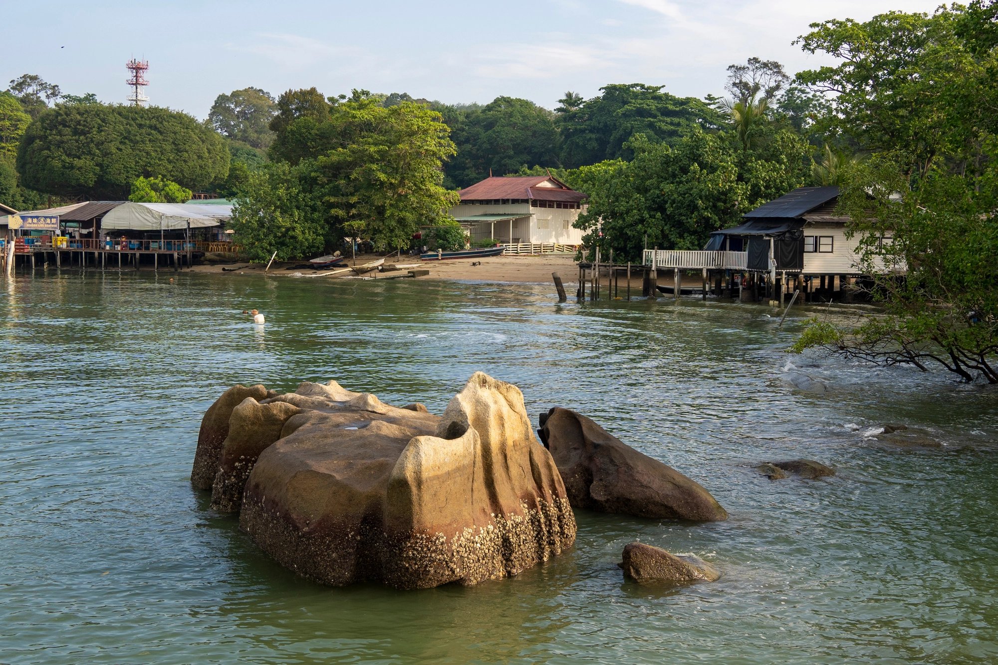 Cover media image