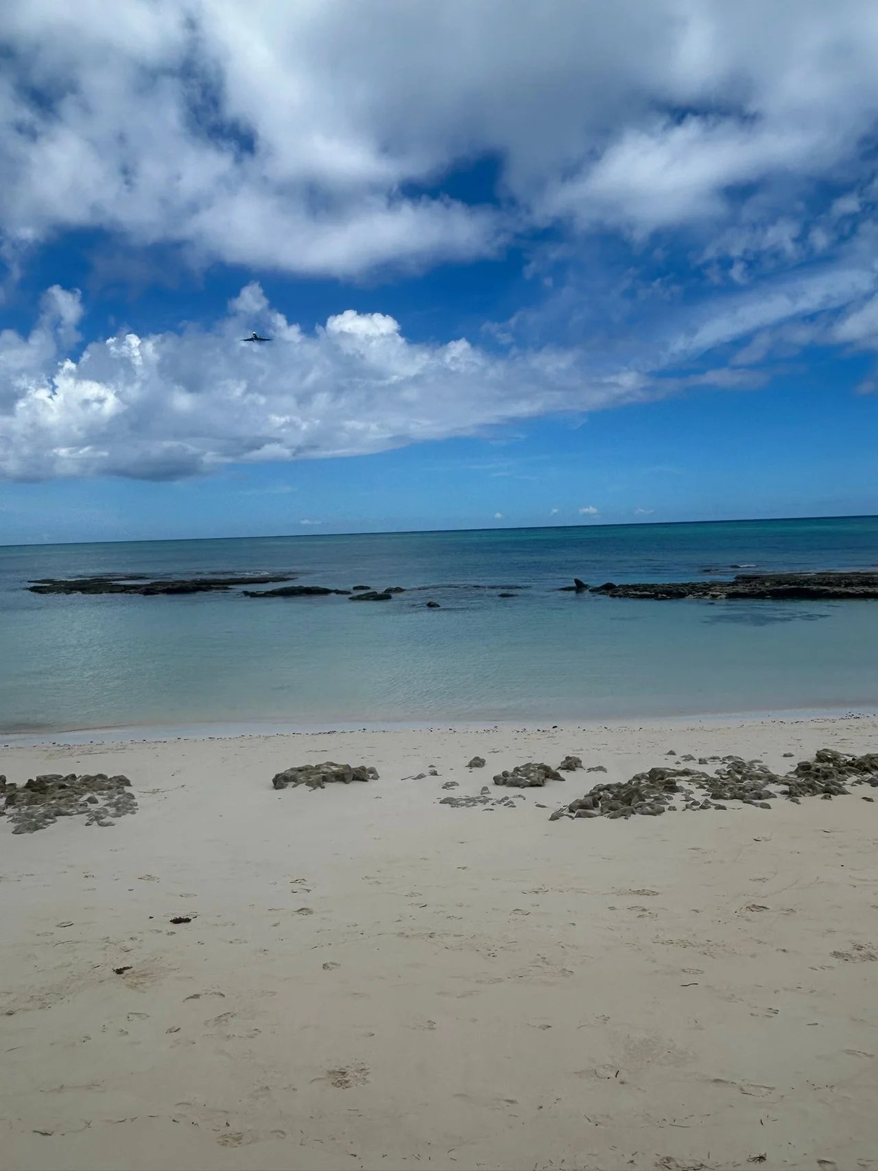 Cover media image