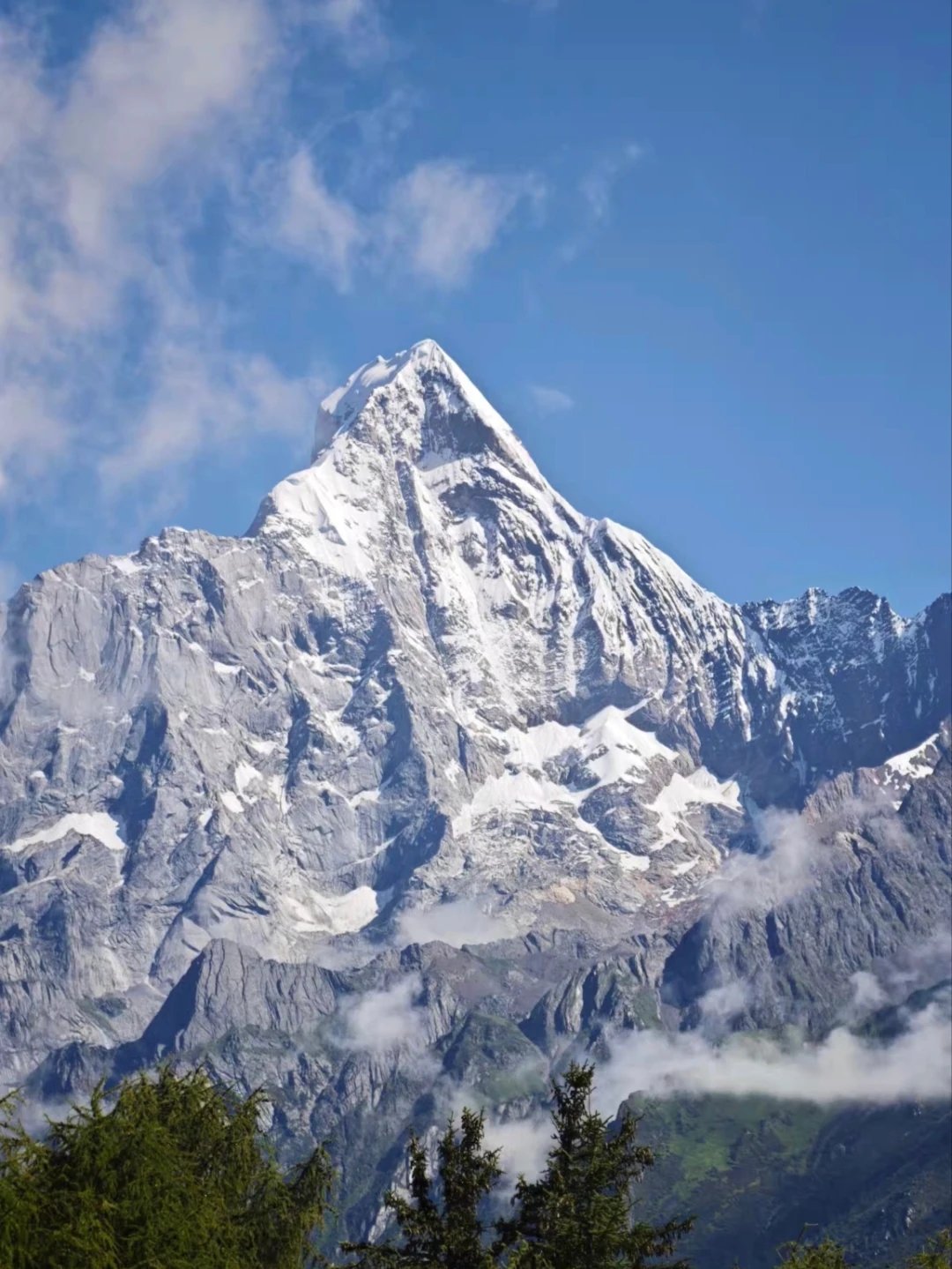 Cover media image