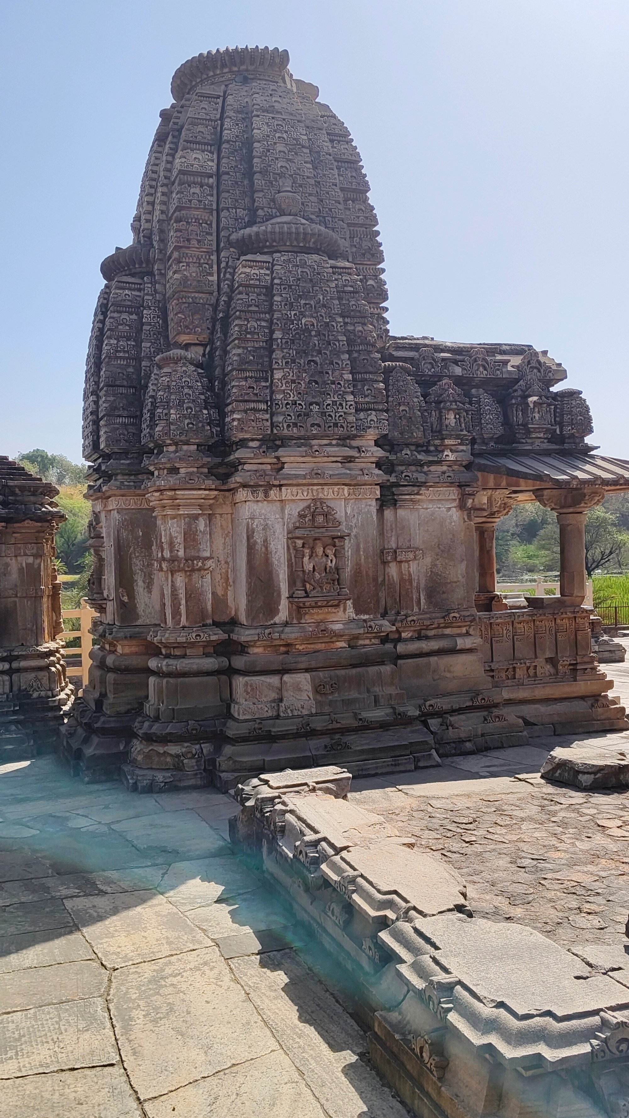 Raj D.'s gallery