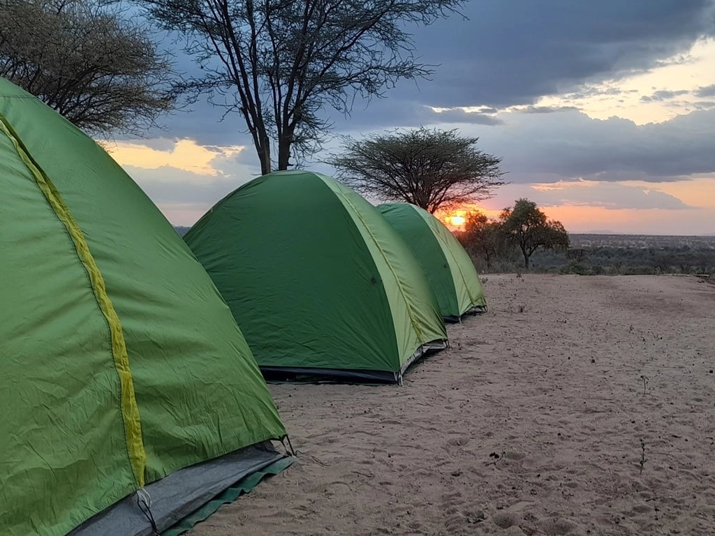 Hailemeskel A.'s gallery
