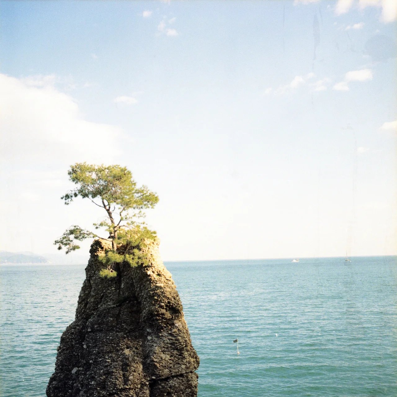 Cover media image