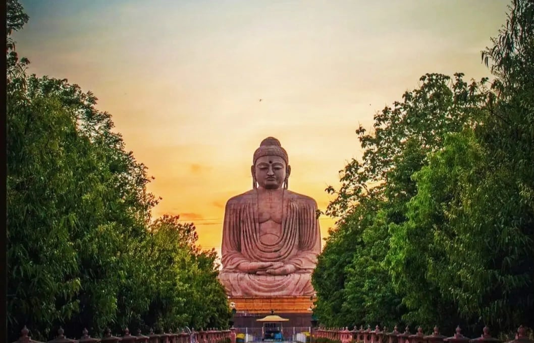 Cover media image