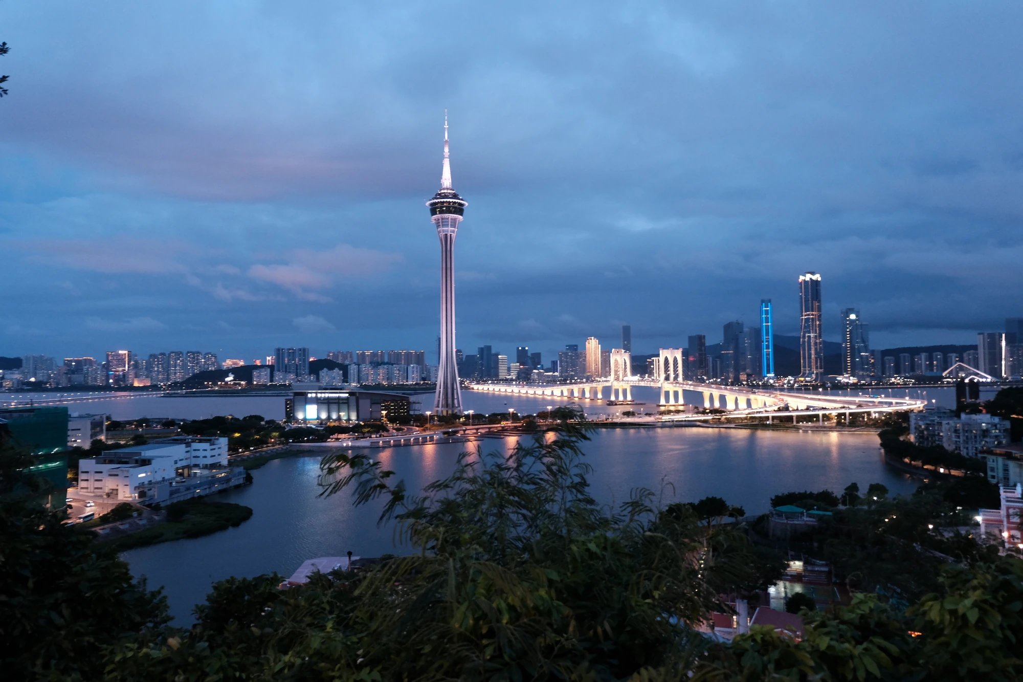 Cover media image