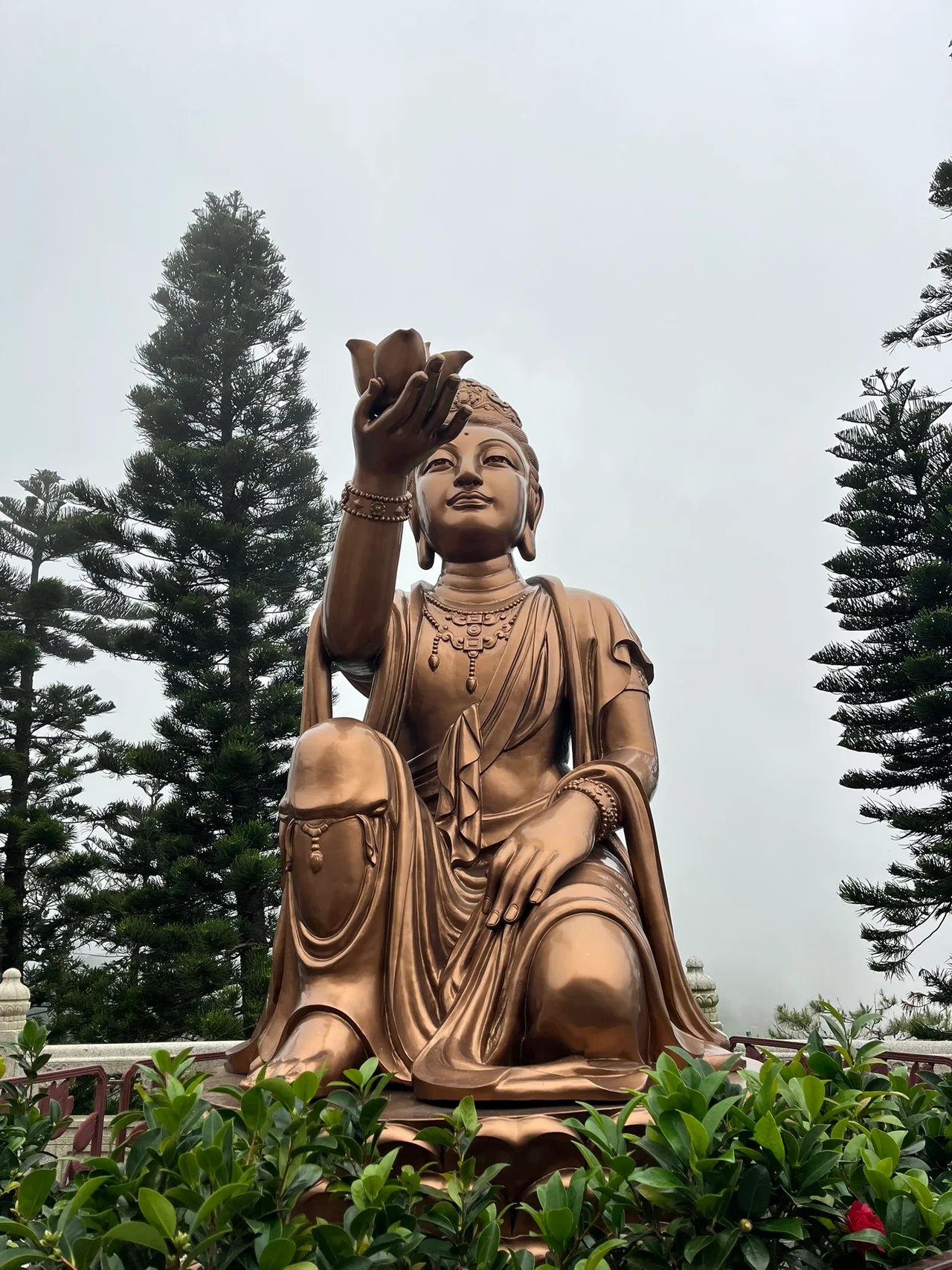Cover media image