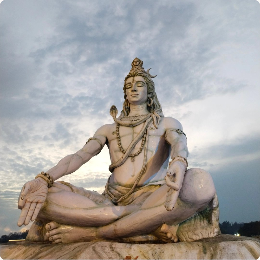 Cover media image