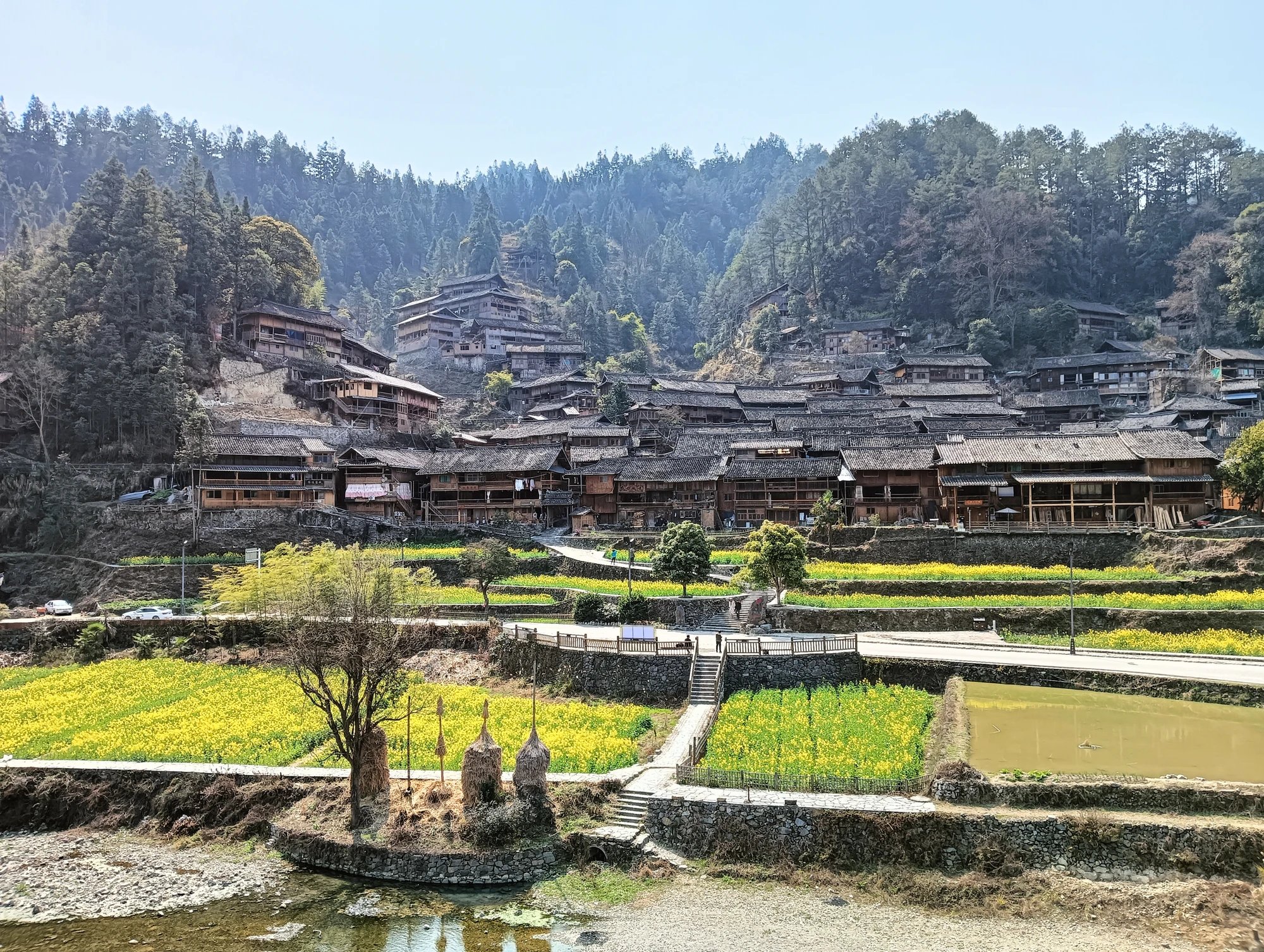 Cover media image