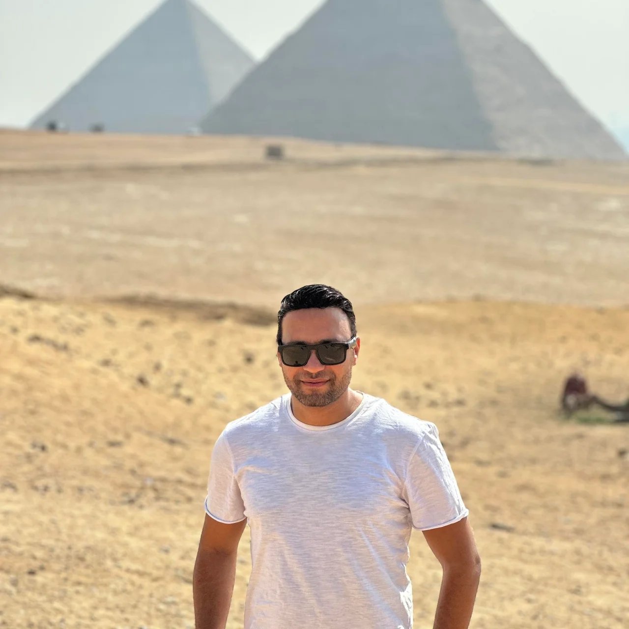 Ragab S.'s gallery