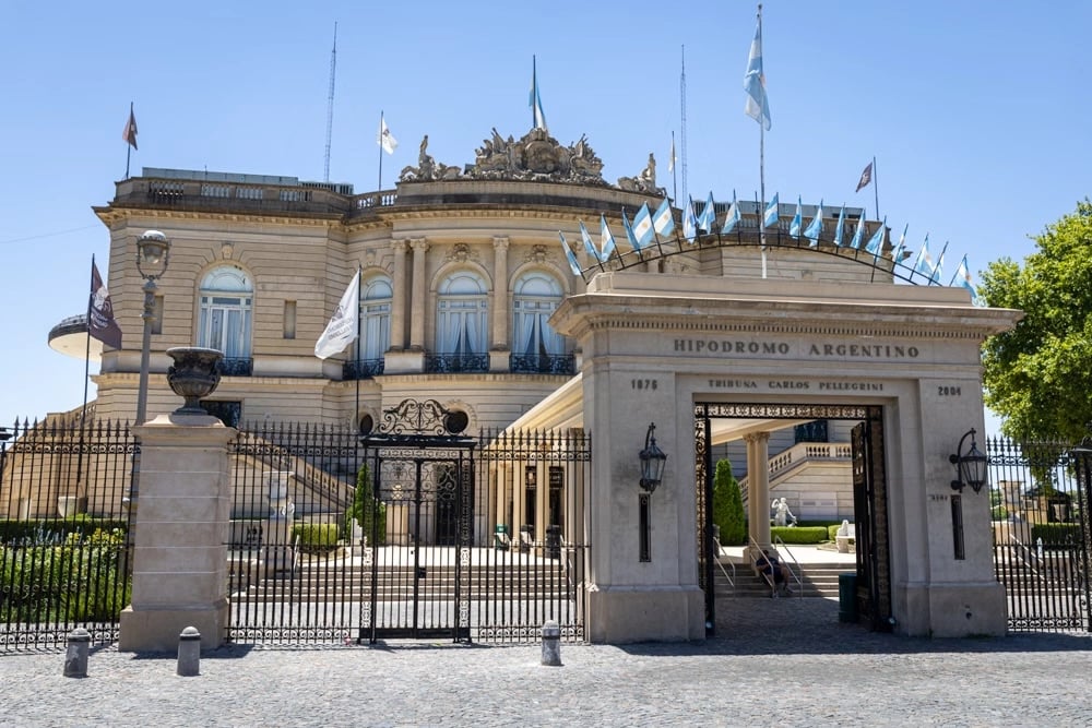 Marina Paula F.'s gallery
