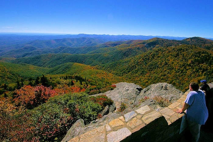 Cover media image