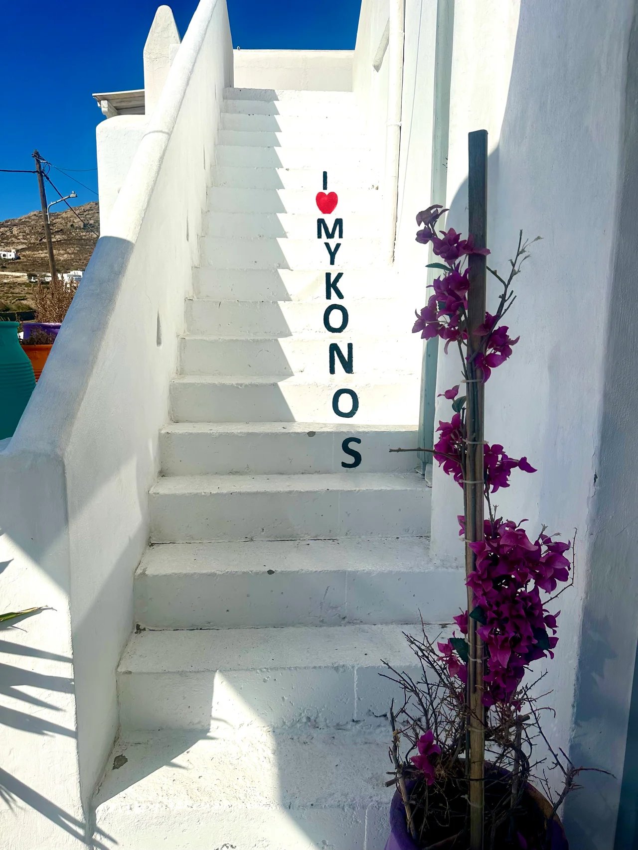 Ina M.'s gallery