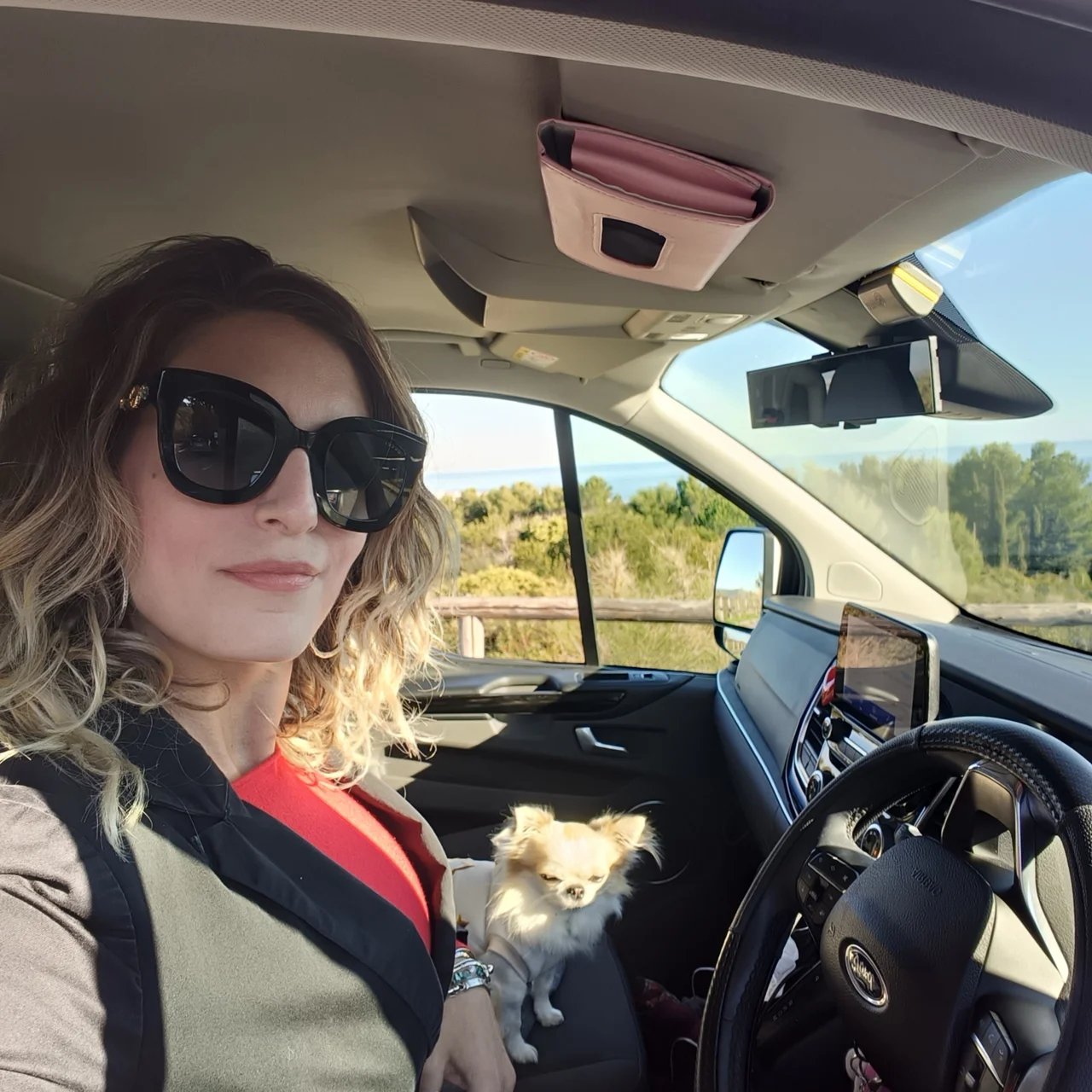 Nicoletta B.'s gallery