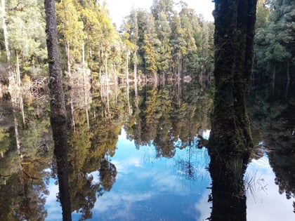 Waitomo Glow Worms and Lake Taupo - An Overnight Adventure by Peter C ...