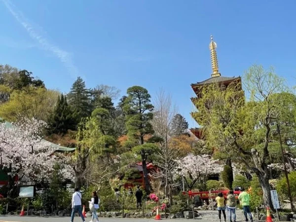 Tokyo's Best Kept Secrets Tour