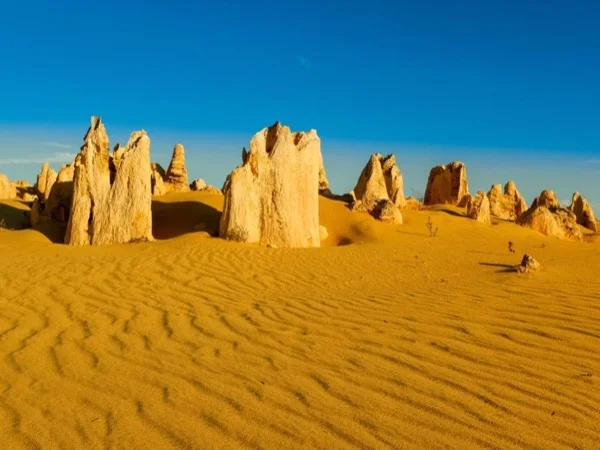 Pinnacles Desert Full Day Private Tour