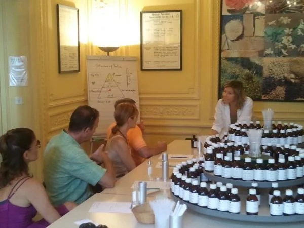 In the secret of perfums and flowers-private tour full day-