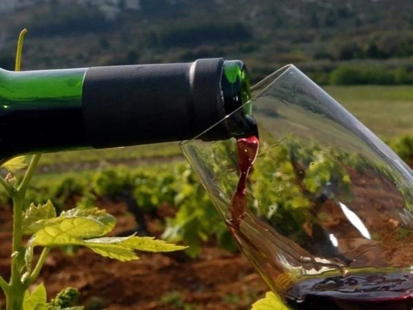 Provencal wine tours-private tour full day-